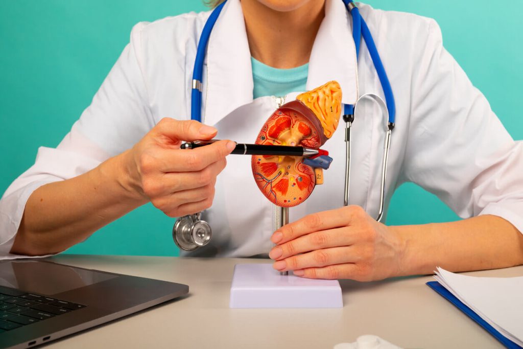 Kidney Stones in Brooklyn: Symptoms, Treatment Options, and When to See a Urologist